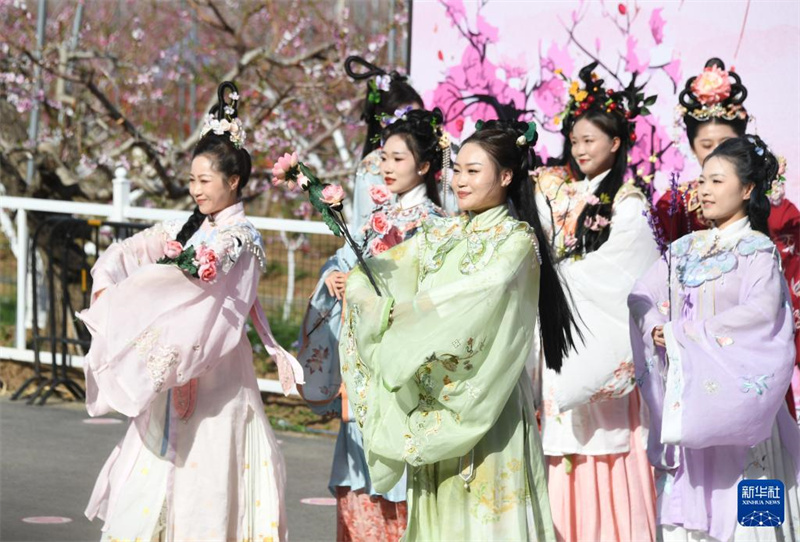 Schauspielerinnen treten während des Pfirsichblüten-Festivals auf. (Foto vom 15. April 2024, Xinhua)